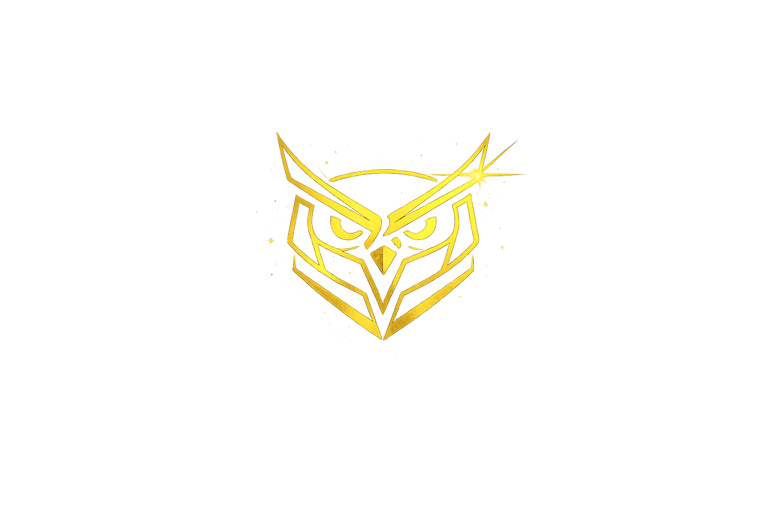 RS Owl Logo